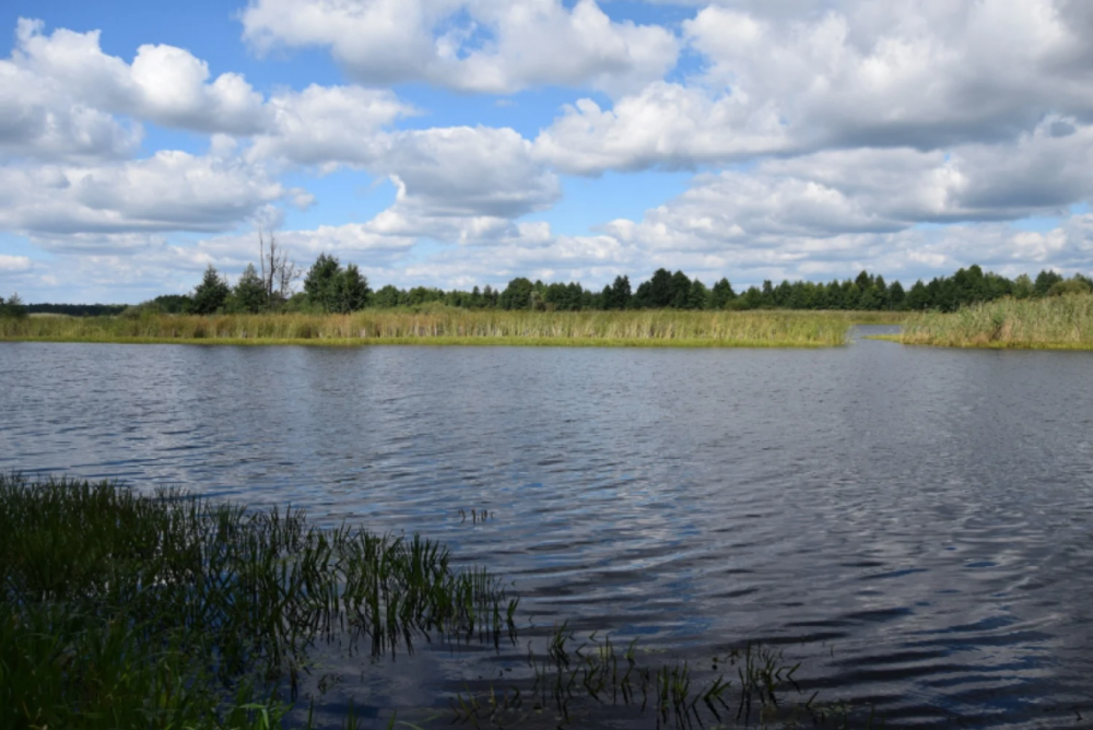 Снимок экрана 2020-10-01 в 22.01.07.png